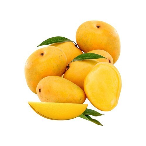 Alphonso Mango