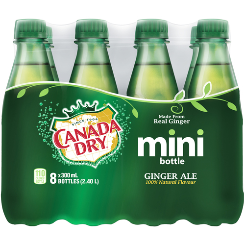 Canada Dry Ginger Ale Mini