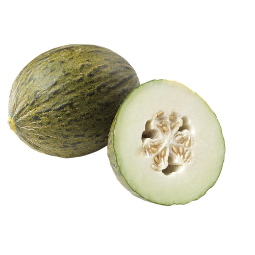 Santa Claus Melon