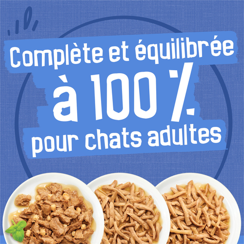 Betty's Kitten - Nourriture Humide pour Chat - Poulet et Dinde - 6 x 200 g - Cuites en Douceur - Haute biodisponibilité - Convient à Toutes Les Races de Chats