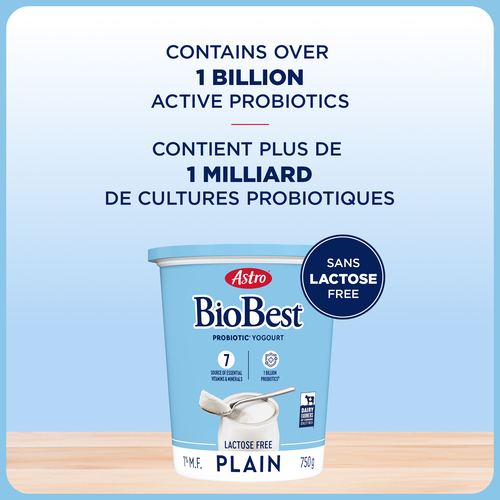 Buy Astro BioBest Lactose-Free 1% Probiotic Yogurt Plain 750 g