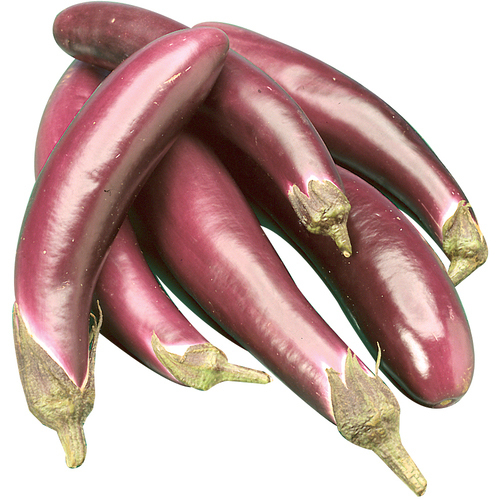 Chinese Eggplant