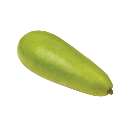 Squash Long