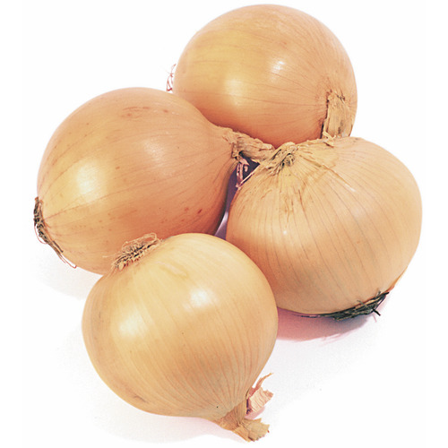 Organic Yellow Onions
