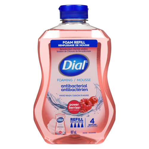 Buy Dial Refill Foaming Hand Wash Antibacterial Power Berries