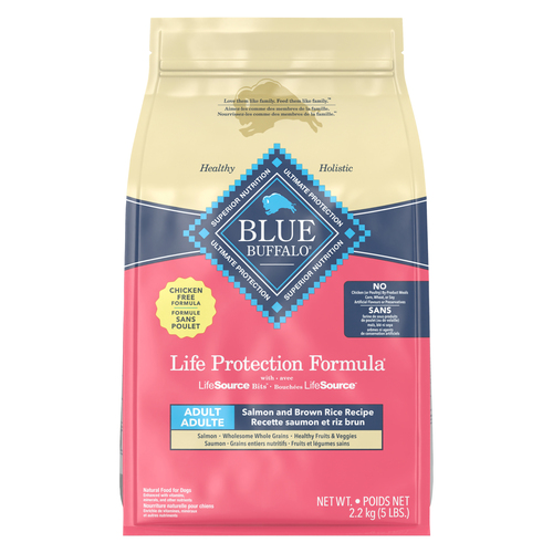 Blue Buffalo Dry Cat Food Adult Indoor Cat Salmon & Brown Rice Recipe