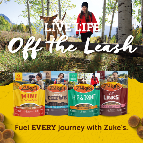 Buy Zuke's Mini Naturals Dog Treats Tender Bites Beef Recipe 170 g