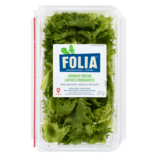 Buy Folia Lettuce Mix Greens Crunchy 227 g | IGA