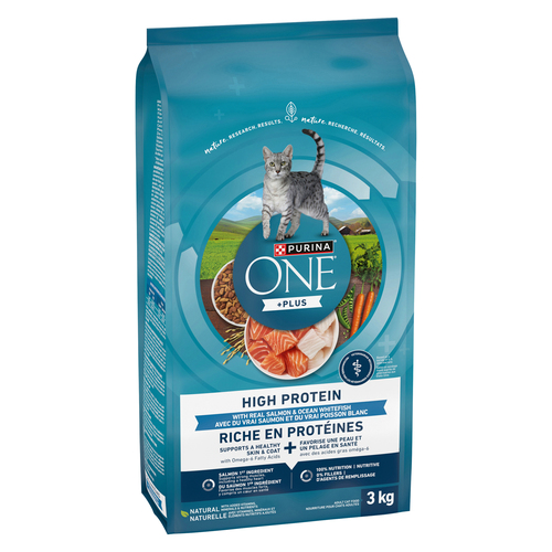 Buy Purina ONE +Plus Dry Cat Food High Protein Salmon Ocean