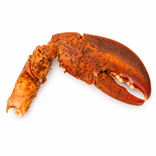 Buy Compliments Frozen Wild Lobster Claws New Brunswick 454 g | IGA