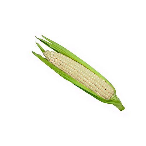 White Corn