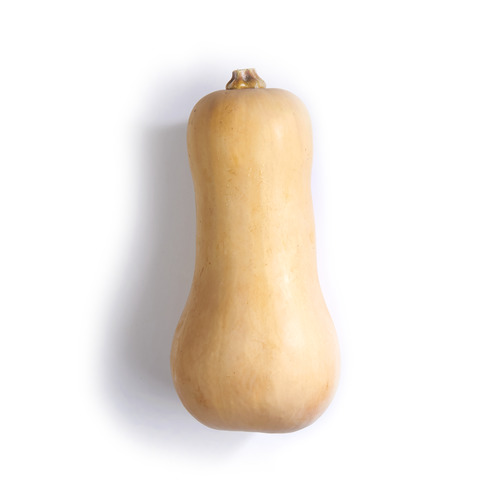 Butternut Squash