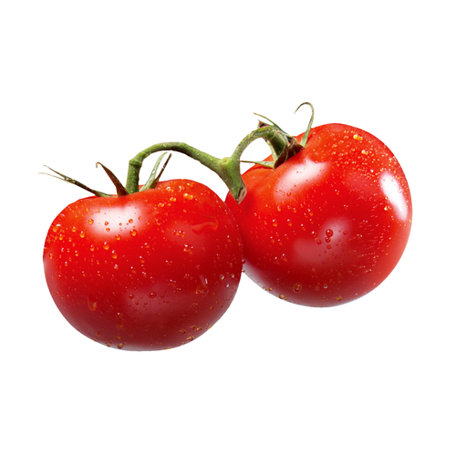Red Tomatoes On The Vine