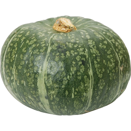 Kabocha Squash