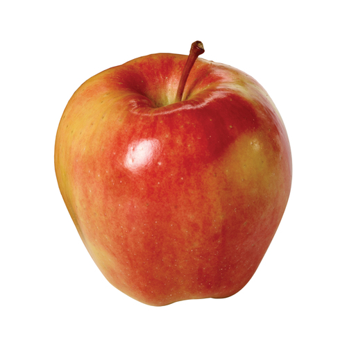 Ambrosia Apples