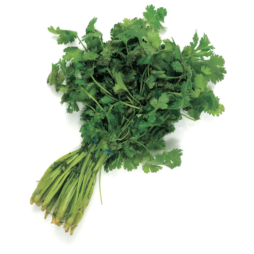 Buy Organic Cilantro 1 Bunch | Safeway Canada