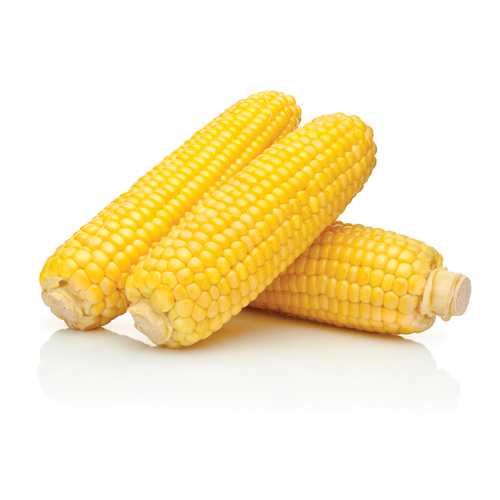 Corn On The Cob