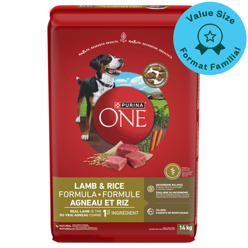 Purina ONE Lamb & Rice Formula Dry Dog Food