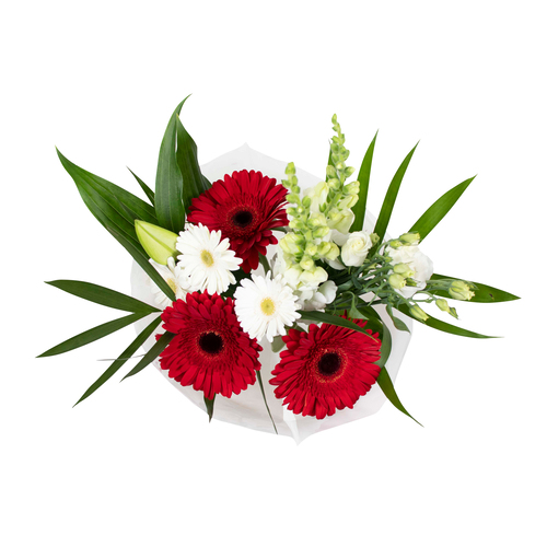 Discover Flowers & More | Safeway Canada