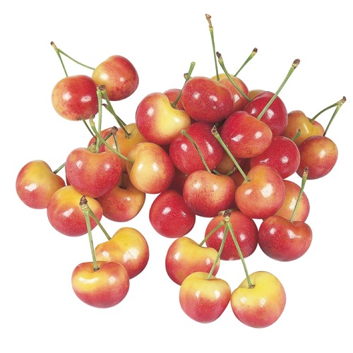 Golden Rainier Cherries