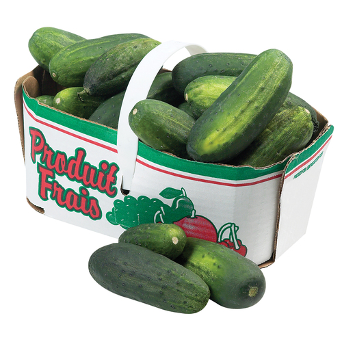 Basket of Cucumber (Kirby) 3 L