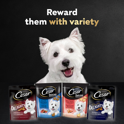 Buy Cesar Double Delights Small Adult Dogs Treats Filet Mignon 150