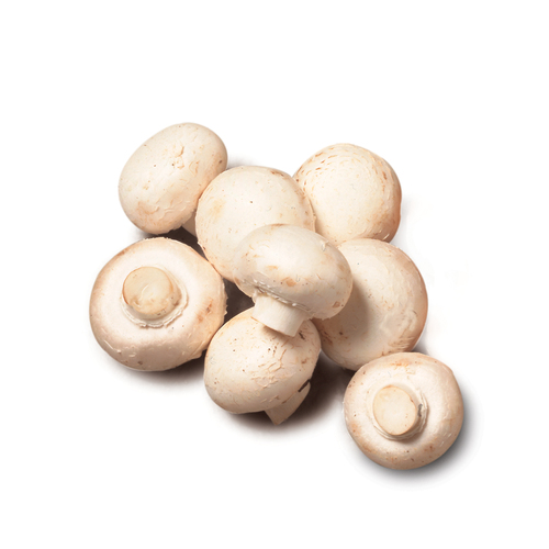 Organic Mushrooms White