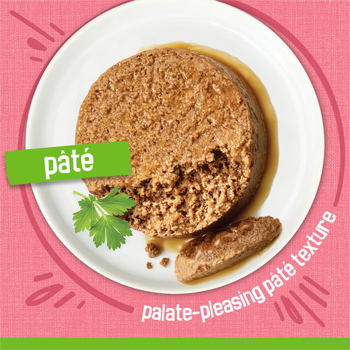 Buy Friskies Wet Cat Food Pâté Salmon Dinner 156 g | IGA