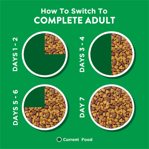 When Should Dogs Move to Adult Food: Essential Timing Tips