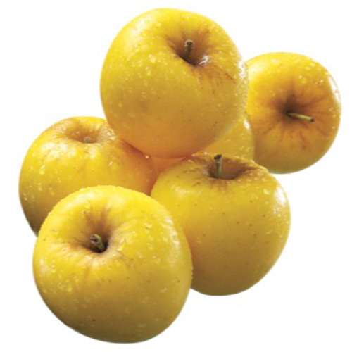 First Fruit Opal Gold Apples