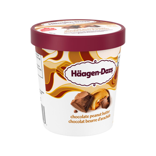 Buy Haagen-Dazs Ice Cream Chocolate Peanut Butter 450 ml | Safeway