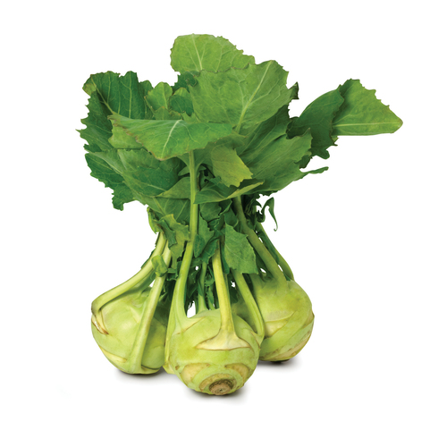 Green Kohlrabi