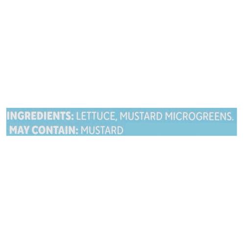 Buy GoodLeaf Spring Mix Crisp 113 g | FreshCo