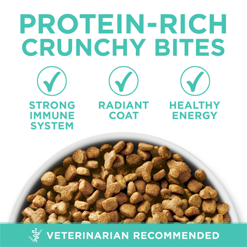 Buy Purina ONE +Plus Dry Cat Food Sensitive Systems Turkey kg