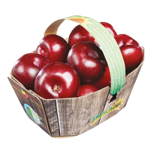 セール！　Basket of Plums Songbook　プラムヴィレッジ Buy Basket Plums 1.5 L | IGA