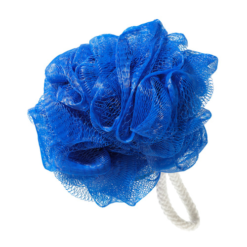 Buy Body Sponge | FreshCo