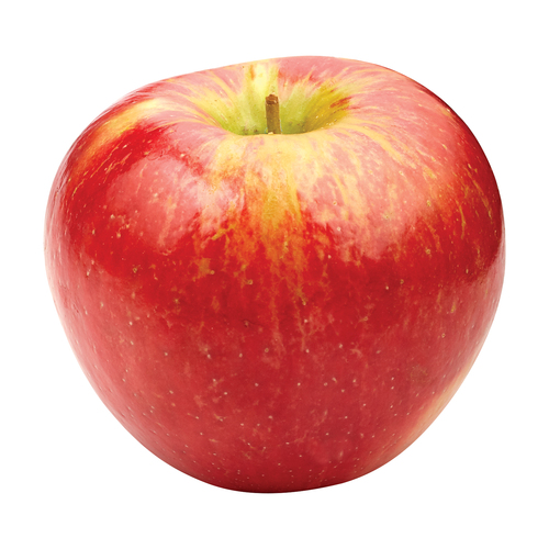 Honeycrisp Apple