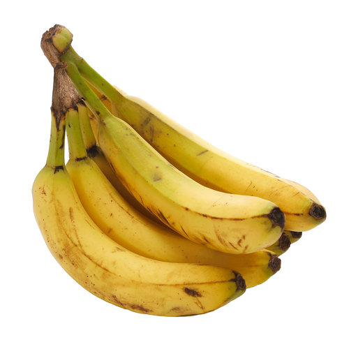 Buy Baking Bananas | Safeway Canada