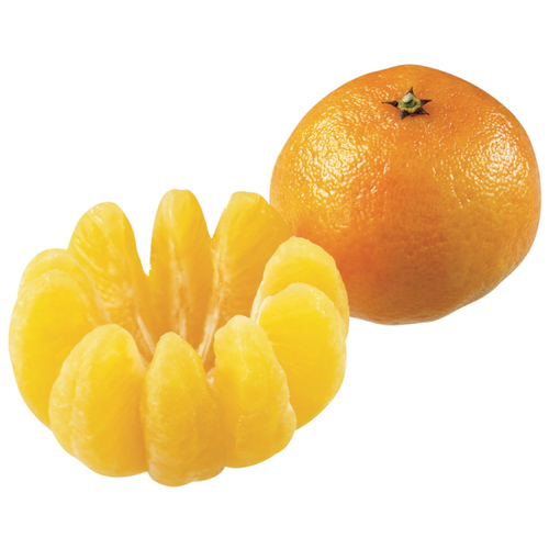 Nova Tangerines