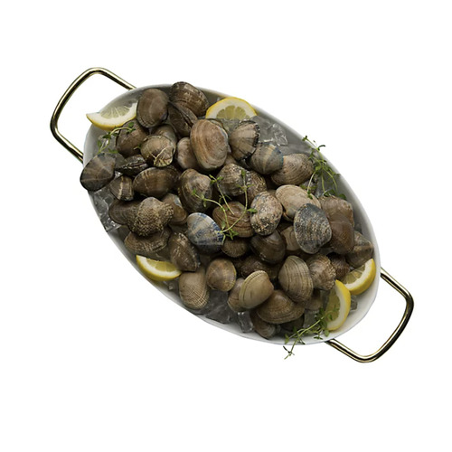 Buy Ocean Wise Fresh Clam Steamer | Sobeys Inc.