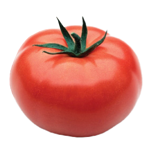 Hothouse Organic Beefsteak Tomato
