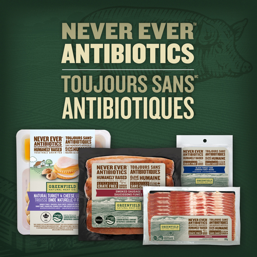 Buy Greenfield Natural Meat Snack Kit Smoked Pepperoni 67 g FreshCo