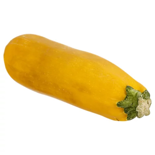 Zucchini Squash
