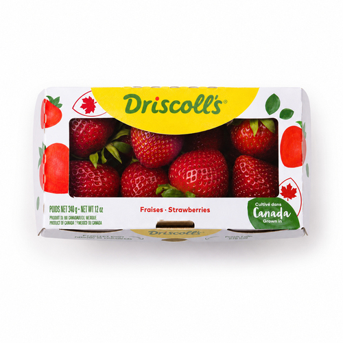 NatureFresh Hot House Strawberries