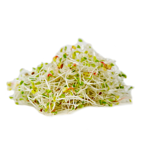 Alfalfa And Radish Sprouts