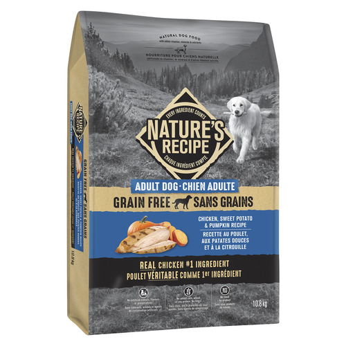 Buy Nature's Recipe Dry Dog Food Adult Lamb Value Size kg