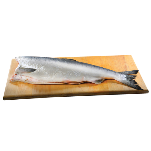 Whole Pacific Pink Salmon