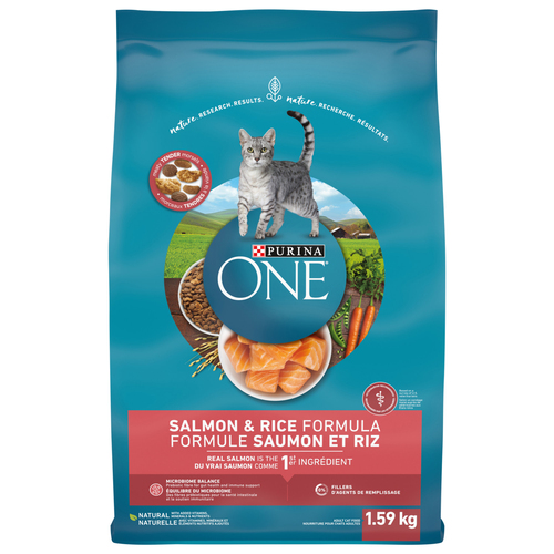 Purina ONE Dry Cat Food Salmon & Rice