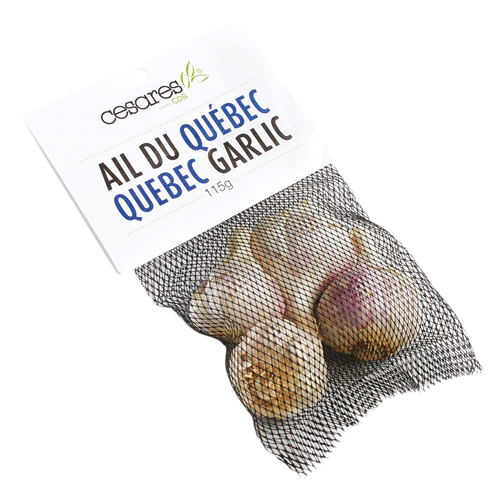 Garlic
