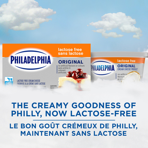 Buy Philadelphia Lactose Free Cream Cheese Original 250 g | Foodland